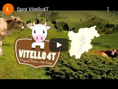 vitello4t-video